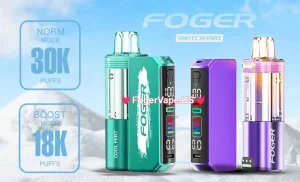 Foger vapes Conclusion: Foger Vape Next Chapter is Smart and Sustainable