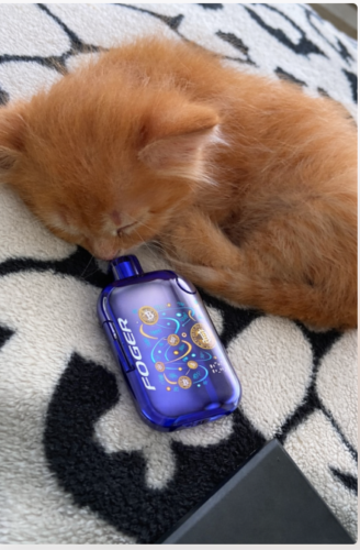 Foger Bit 35K Disposable Vape (35,000 Puffs) - Full Flavor Edition photo review